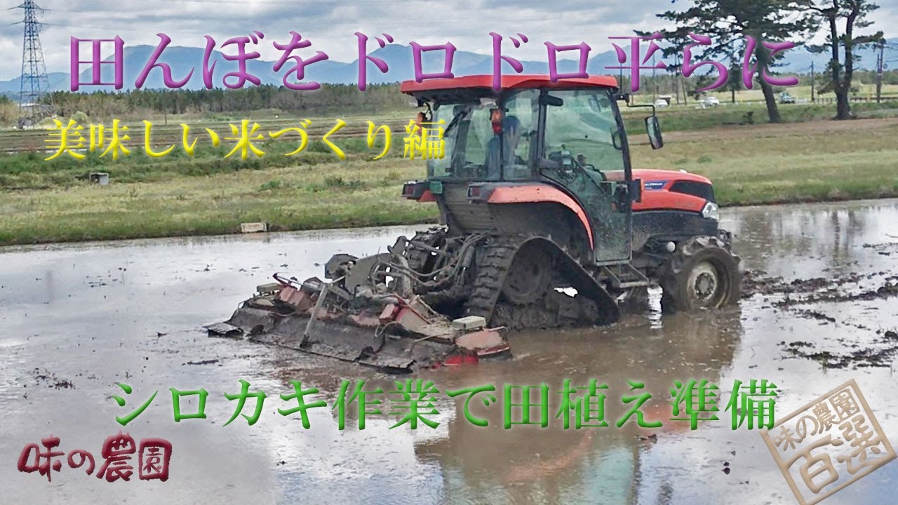 お米ができるまで 山形の米作り Youtube