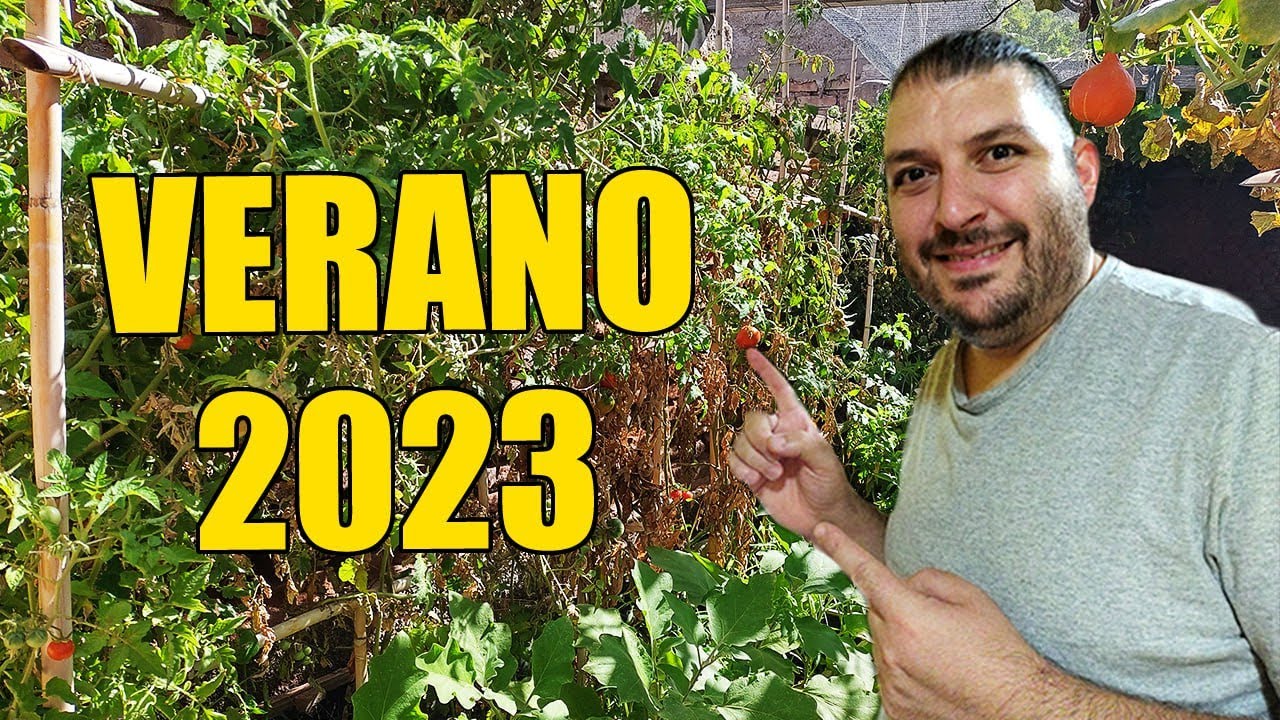 ASI ESTÁ LA HUERTA EN FEBRERO 2023 YouTube