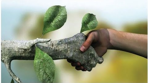 4th standard term 3 Science || Green Environment Part 2