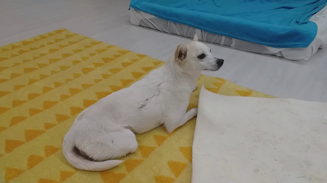 Unser neues Sonnenzimmer