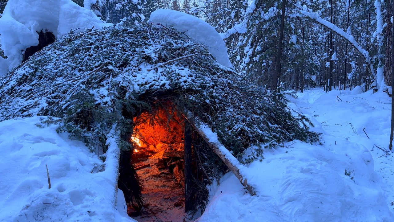 Hidden survival shelter. Survived a night in -15°C, 5°F alone in the forest