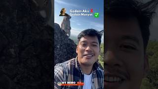 Download Lagu Godain Monyet Lebih Seru #monyet #gunungsepikul #nikensalindry #sanidy #videolucu MP3