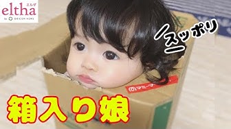 箱入り娘 Youtube