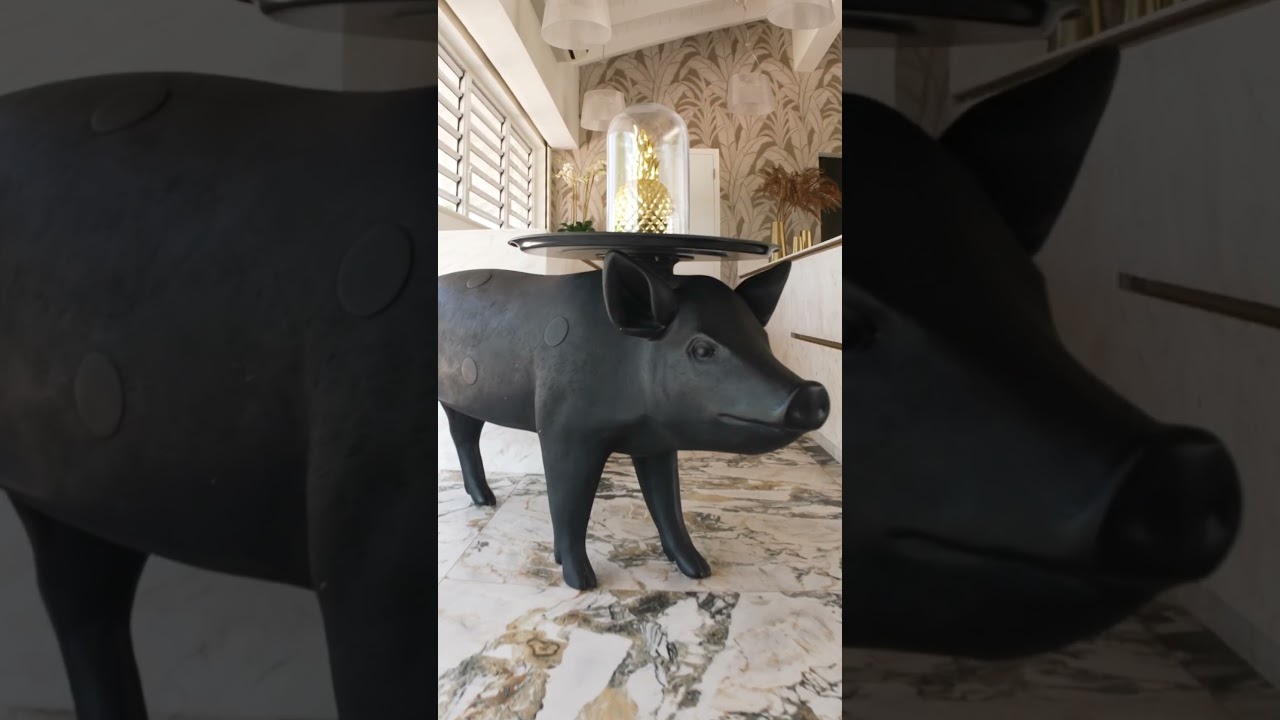 Exclusive Beach Day with Jandino Asporaat at Papagayo Beach Resort