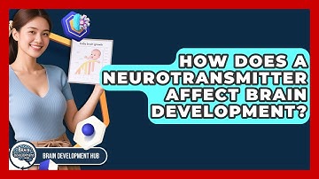 How Does A Neurotransmitter Affect Brain Development? - Brain Development Hub