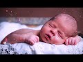 Baby Sleep Music ♥ Lullaby for Babies To Go To Sleep ♥ Mozart for Babies Intelligence Stimulation