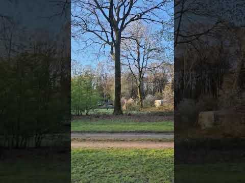 Miniatuur van productvideo