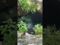 One chip city blue hole settings