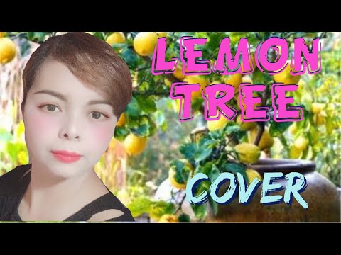 LEMON TREE BY: FOOLS GARDEN/LIVE SONG COVER BY:HANA ARIANA