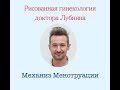 МЕХАНИЗМ МЕНСТРУАЦИИ