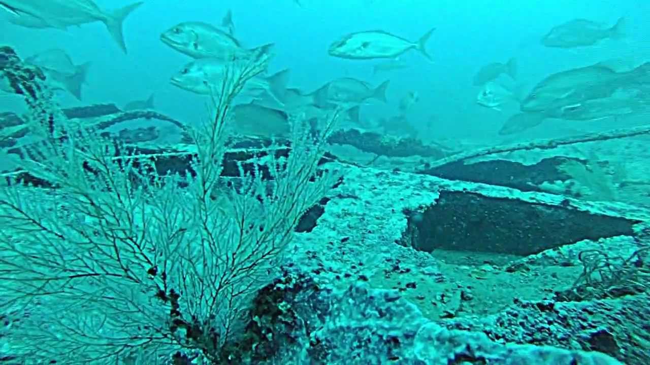 Panama City Dive Center Empire Mica round 2 YouTube