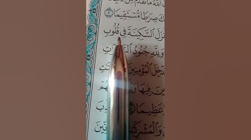 سوره الفتح بصوت الشيخ اسلام صبحي