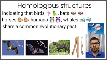 Homologous structures and Analogous structures.