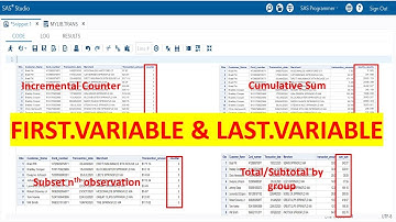 First.Variable and Last.Variable in SAS | First. and Last. Processing in PDV