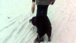 DSCI0067.AVI