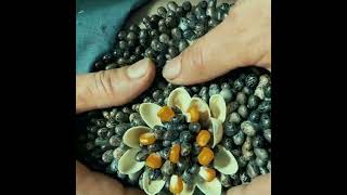put the bead in and remove it from 2026