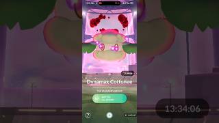 Almost a Hundo Dynamax Cabbage!