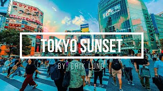 Erik Lund - Tokyo Sunset (Vlog No Copyright Music)