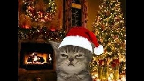 Cheating in Era with free internal ft. Senex ✨