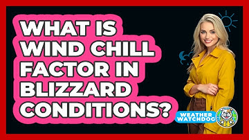 What Is Wind Chill Factor In Blizzard Conditions? - Weather Watchdog