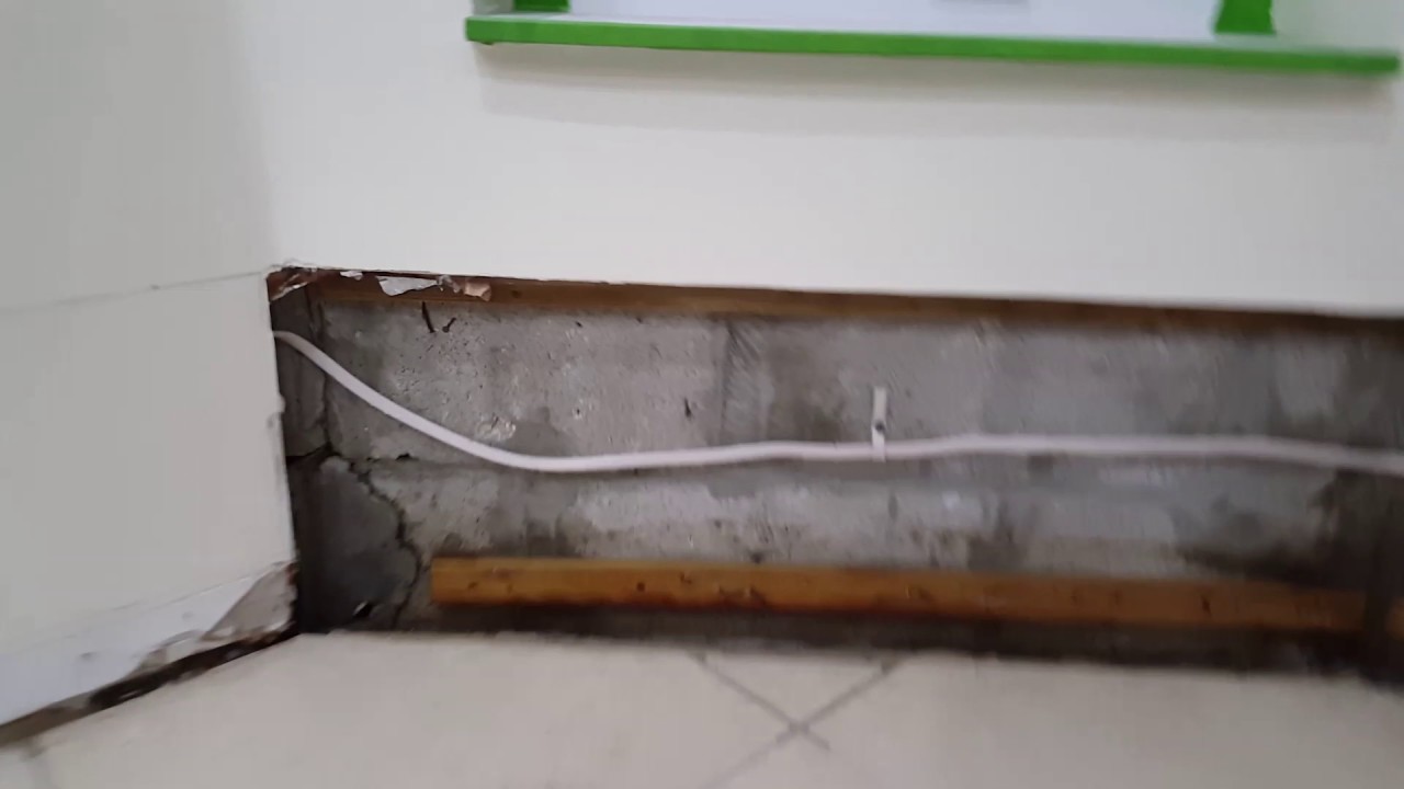 Drywall Rot And Mold Removal With Concrobium Control Spray Drywall Rot And Mold Removal With Concrobium Control Spray