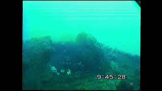 Subic Bay Wreck Dive with Brian Homan (1995) | HI8 Archive