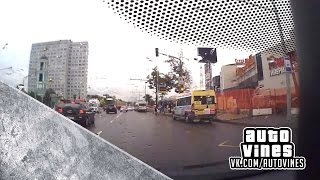 Auto Vines №161