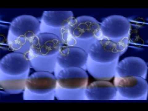 Synaesthesia Video