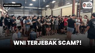 WNI Terjebak Scam di Luar Negeri! Kisah Nyata yang Bikin Merinding