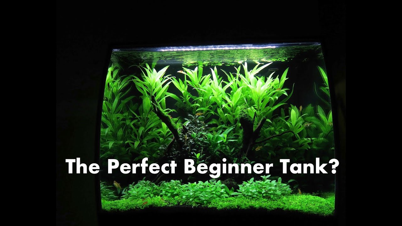 fluval flex 57 filter