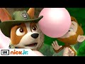 PAW Patrol | Pups Save the Bubble Monkeys | Nick Jr. UK