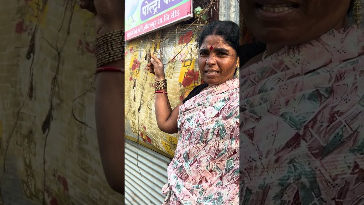 कोंबडी बसवली होती बघा किती पिल्ले दिले आहेत मित्रानो आणि आणखी किती अंडे फुटायले आहेत