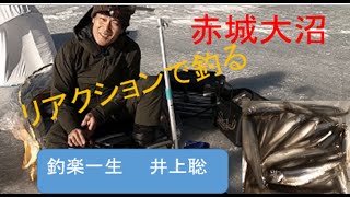 赤城大沼 リアクションで釣る