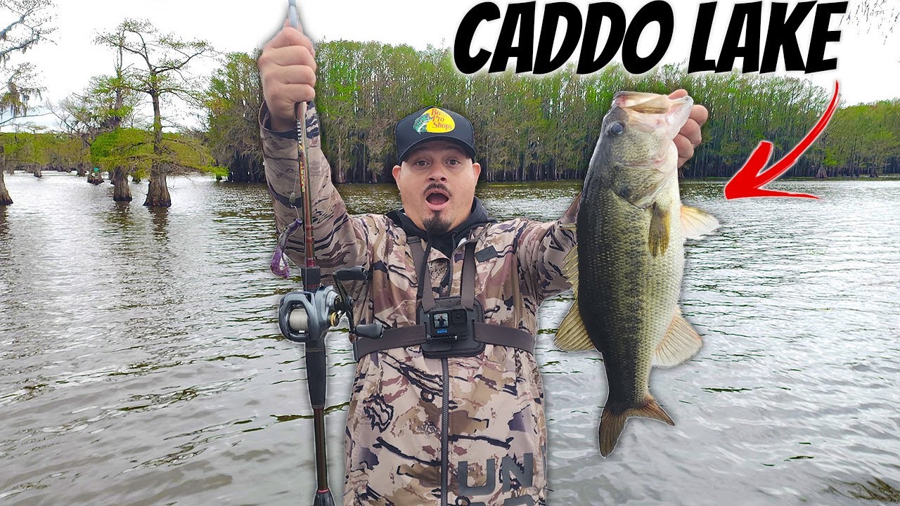 CADDO LAKE GIANTS ARE BITIING!