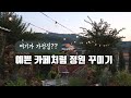 #.50카페같은정원만들기l정원용품템 추천8가지ㅣ빈티지감성정 Mp3 Song