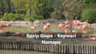 Bosip Gispe - Kepwari Namape