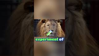 Lion Faced Man revealed  Stefan Bobrowski’s hypertrichosis, the myths promoters sold, and the cultur