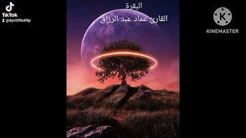 البقرة/القارئ عماد عبد الرزاق