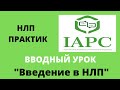 НЛП для начинающих. НЛП практик для коуча, тренера, консультанта. Введение