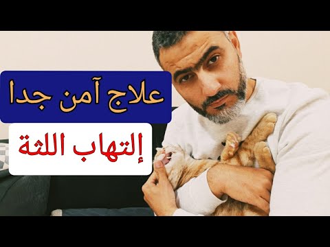 فيديو: أورام اللثة (Epulis) في القطط