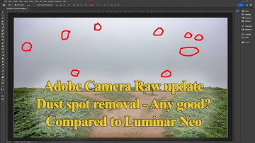 Camera Raw update: auto dust removal