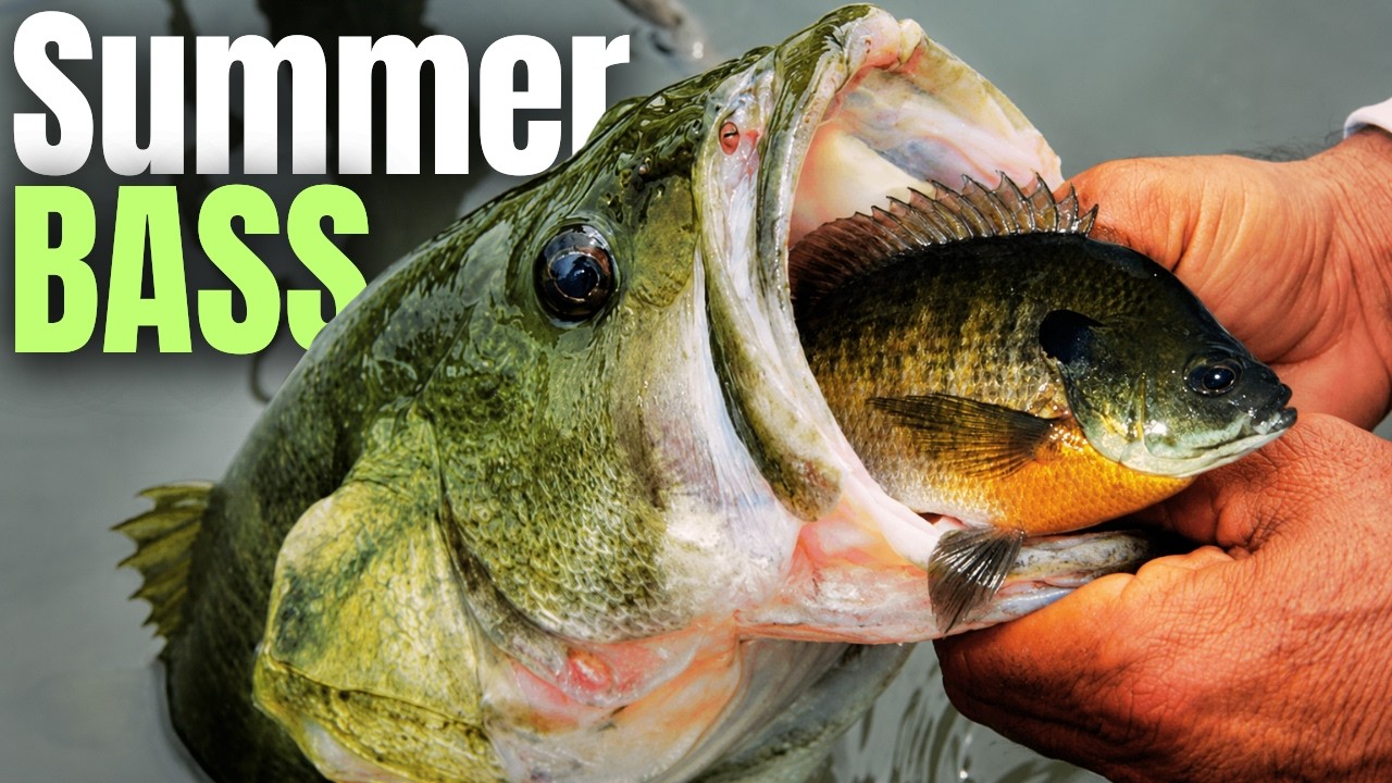 I Wish I Knew This GIANT BASS Pattern Years Ago