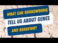 Worms are invaluable to understanding the #brain and #genetics. #neuroscience   #academicresearch