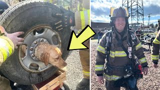 Firefighters Come Up With Plan To Save Dog Trapped Tightly Inside Tire by CreepyWorld 372 views 2 weeks ago 3 minutes, 11 seconds