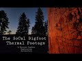 The socal bigfoot thermal footage  4k documentary