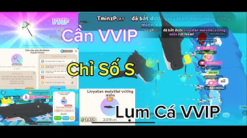 PLAYTOGETHER | MÌNH CHẾ CẦN RÙA Archelon Huyền Thoại , HÀNH TRÌNH 3 NGÀY ĐI SĂN CÁ QUÁI VẬT BÓNG 6