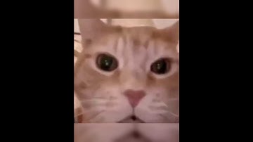 1 V 2 Intense Fight 😈#codmobile #codm #callofdutymobile