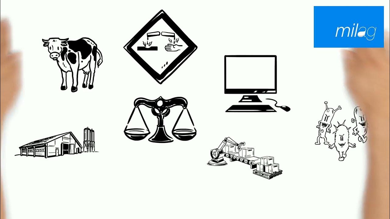 Aus Gras wird Milch die 4 Mägen der Kuh YouTube