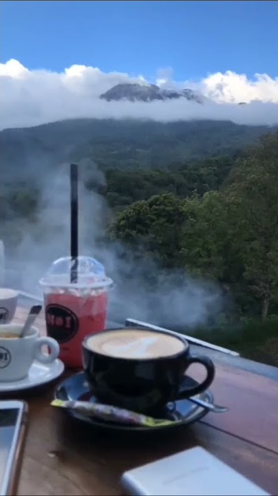 NGOPI DAN NGE.ES DI ATAS BUKIT | HALU STORY #shorts  #storyhalu #storyig #storywa