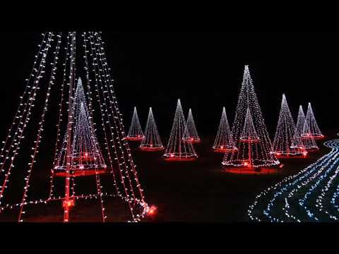 2021 東京　昭和記念公園　Winter Vista Illumination